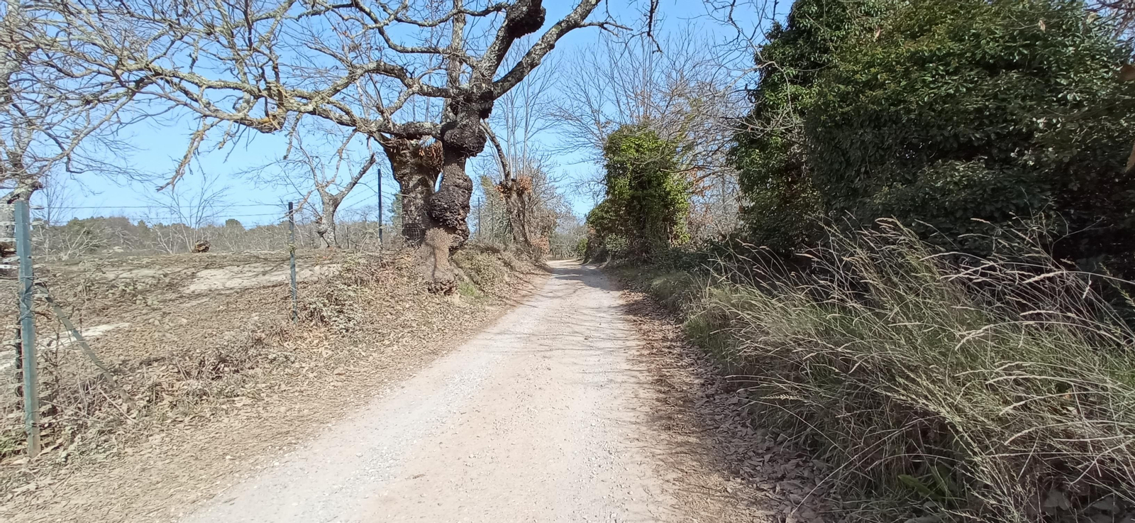 Las imágenes de la ruta de la Dehesa de Valdelama: De Los Marines a Fuenteheridos y vuelta