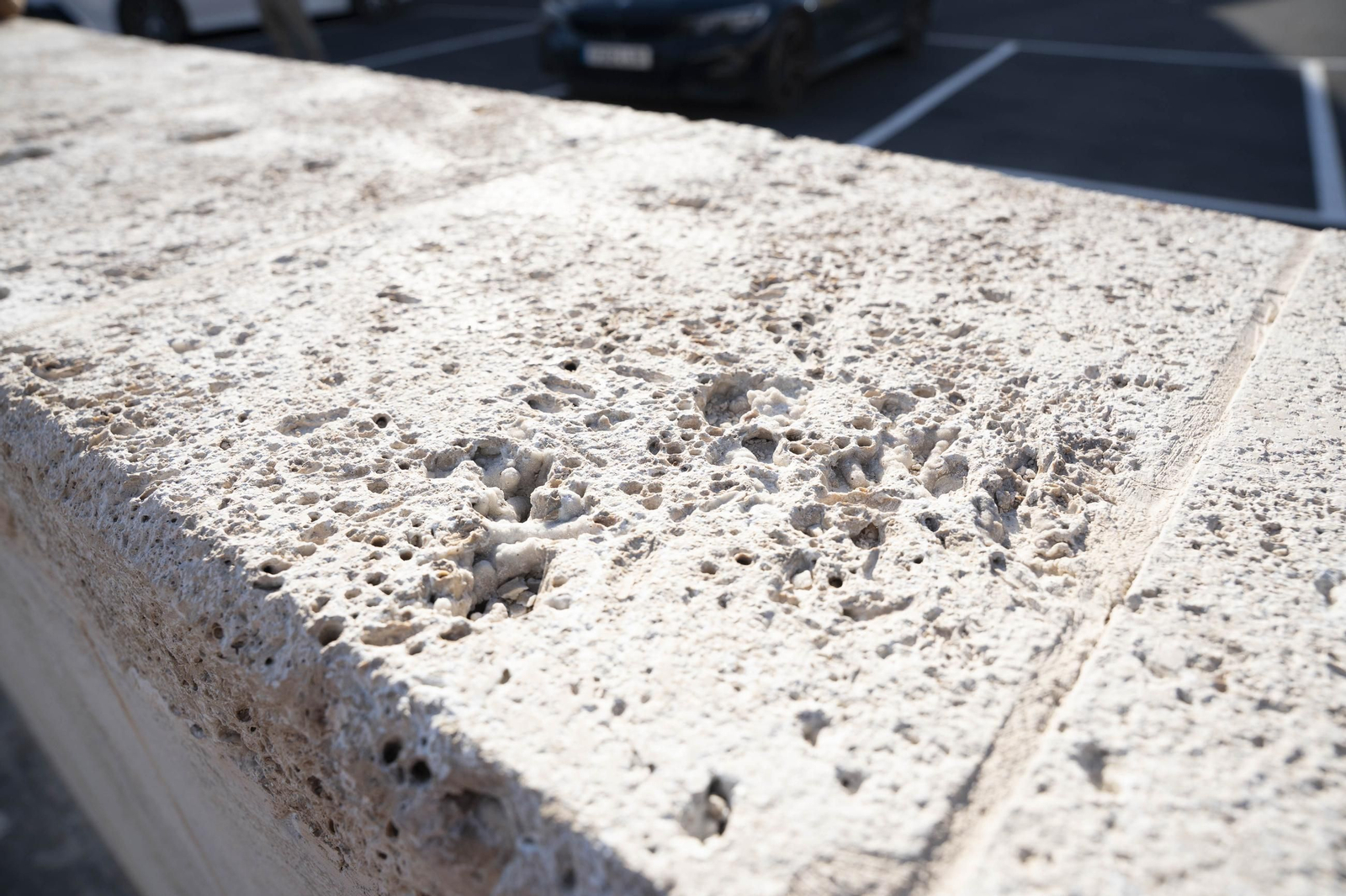 Los primeros usuarios del nuevo acceso al Puerto