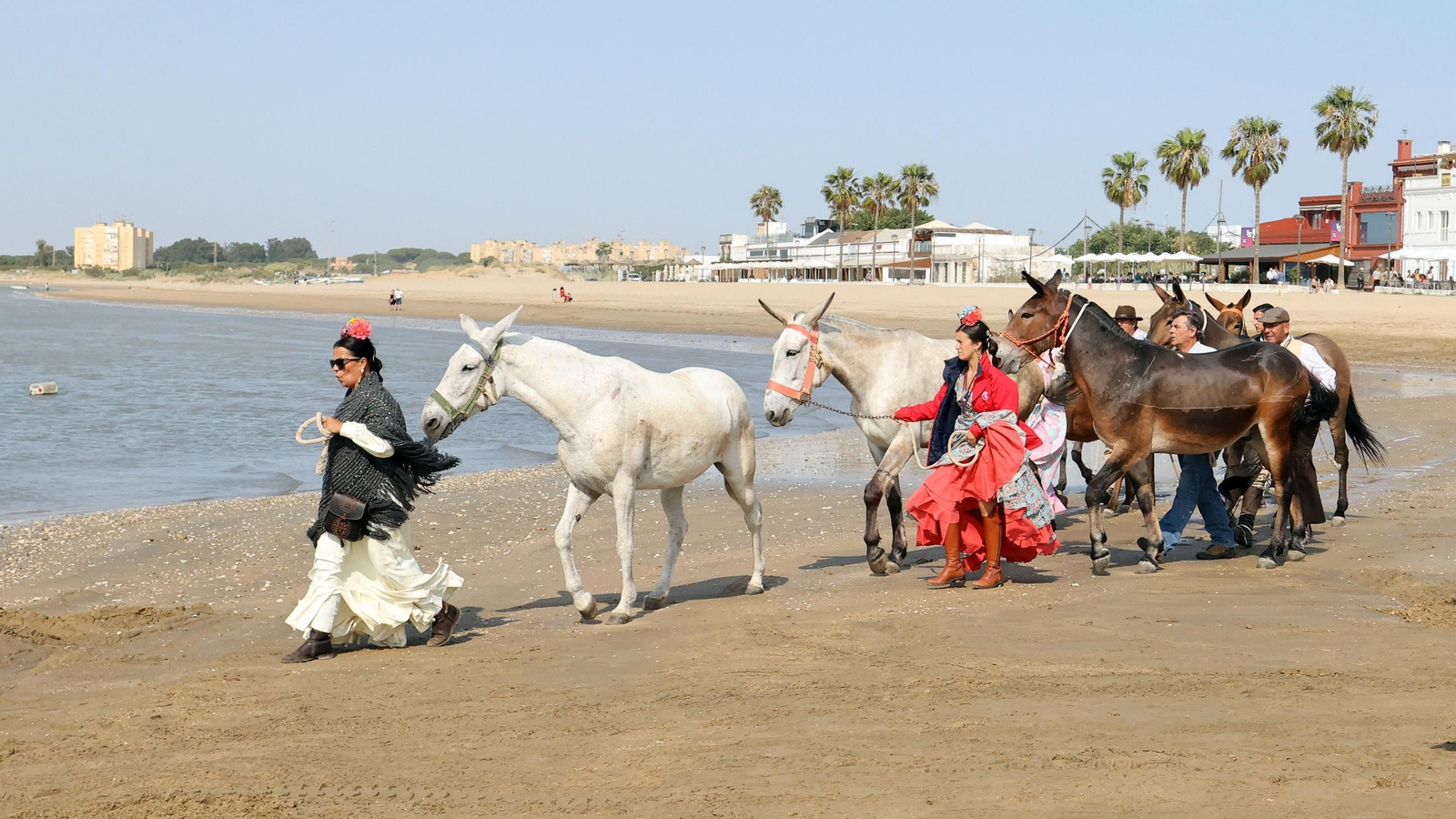 La Hdad del Rocío de Jerez de Bajo Guía a Doñana