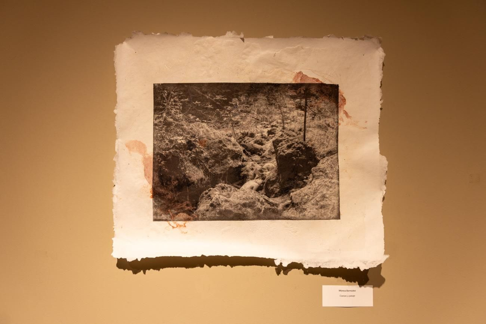 Del taller al museo: Jaén Edita impulsa una nueva estética para el arte contemporáneo andaluz