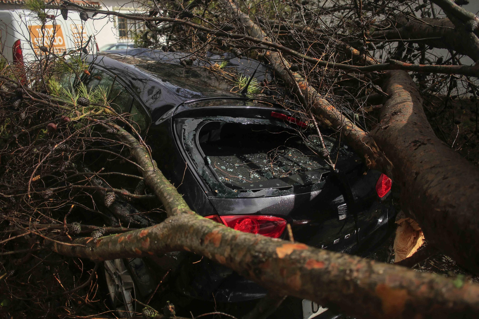 Temporal de viento y lluvia en la provincia