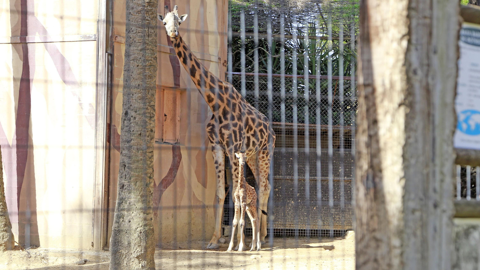 Reapertura del Zoo de Jerez