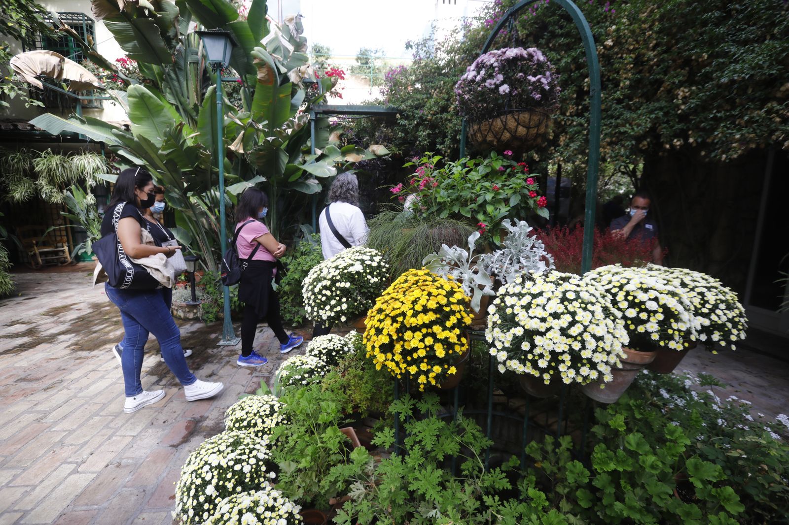 Un recorrido en fotografías por los Patios de Córdoba un domingo de otoño