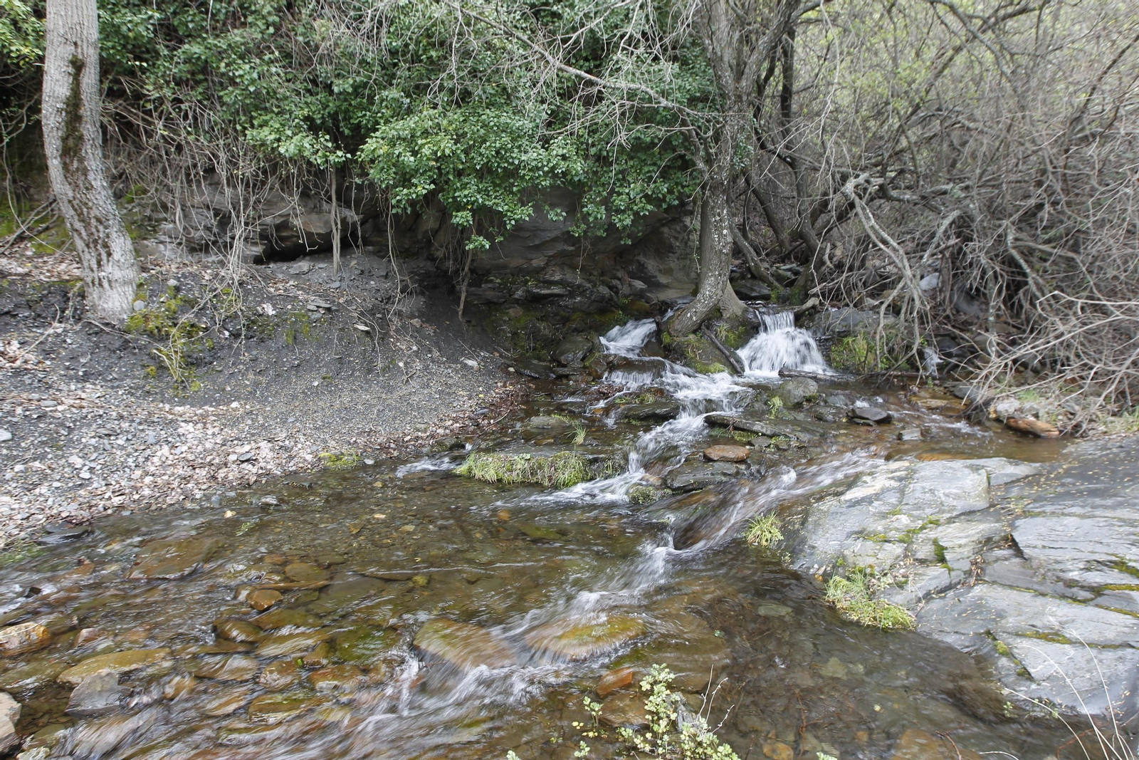 Naturaleza desconfinada. La Roza (Abrucena)
