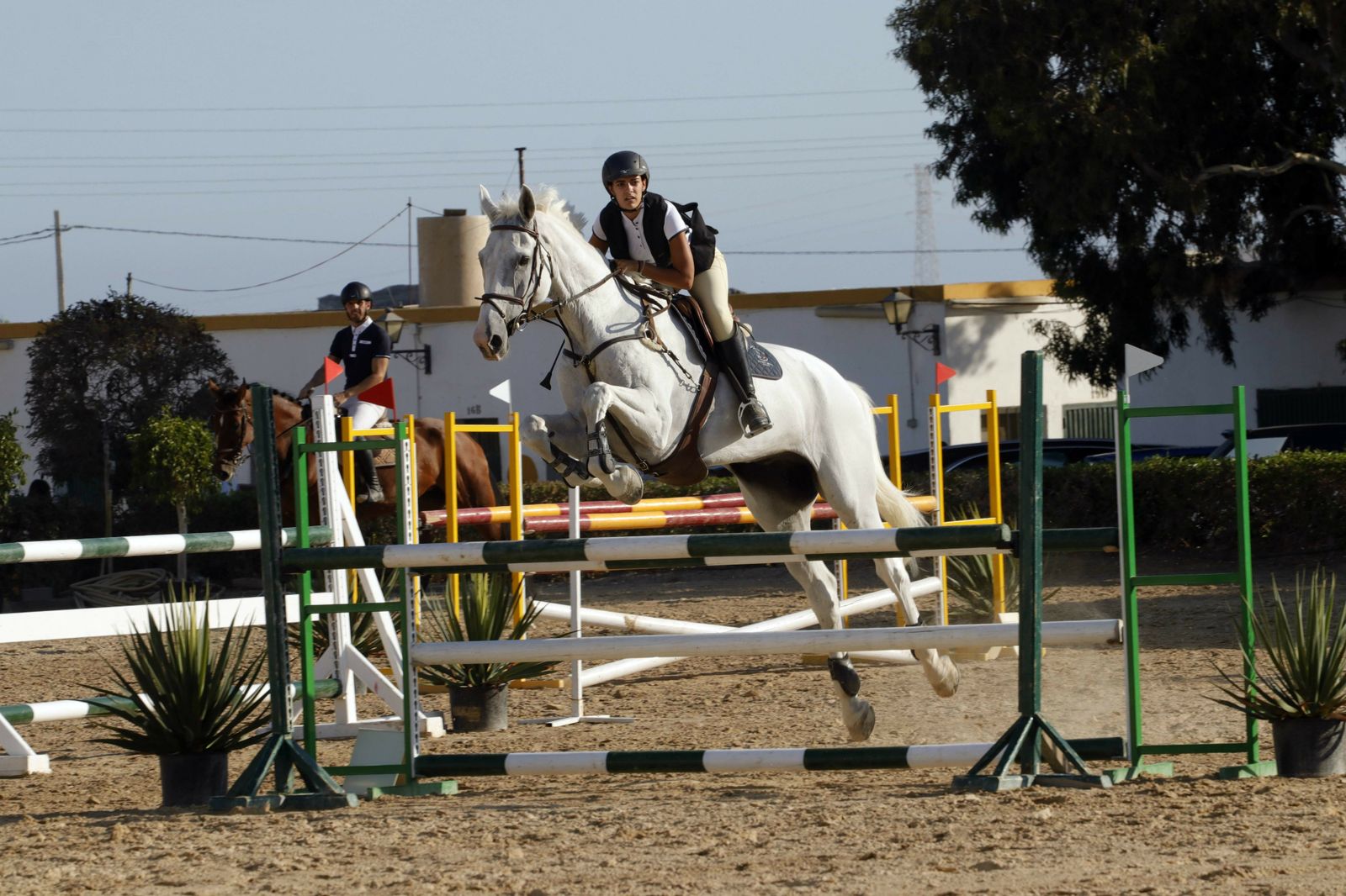 Fotogalería del XLV Concurso Nacional de Salto de Obstáculos