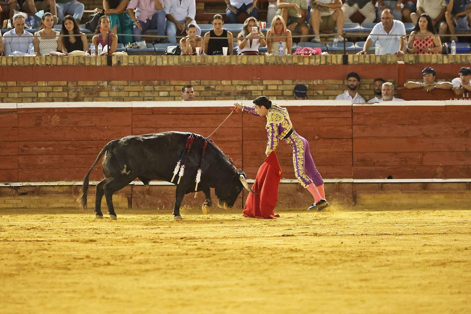 Toros La Merced 2024 Novillada con picadores(