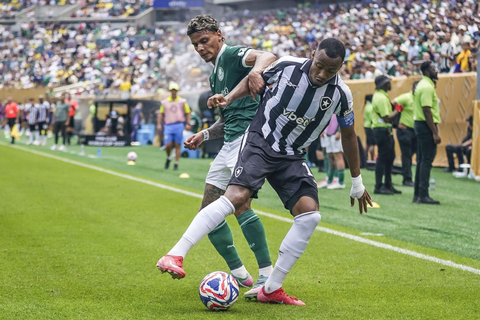 Palmeiras-Botafogo (20).jpg