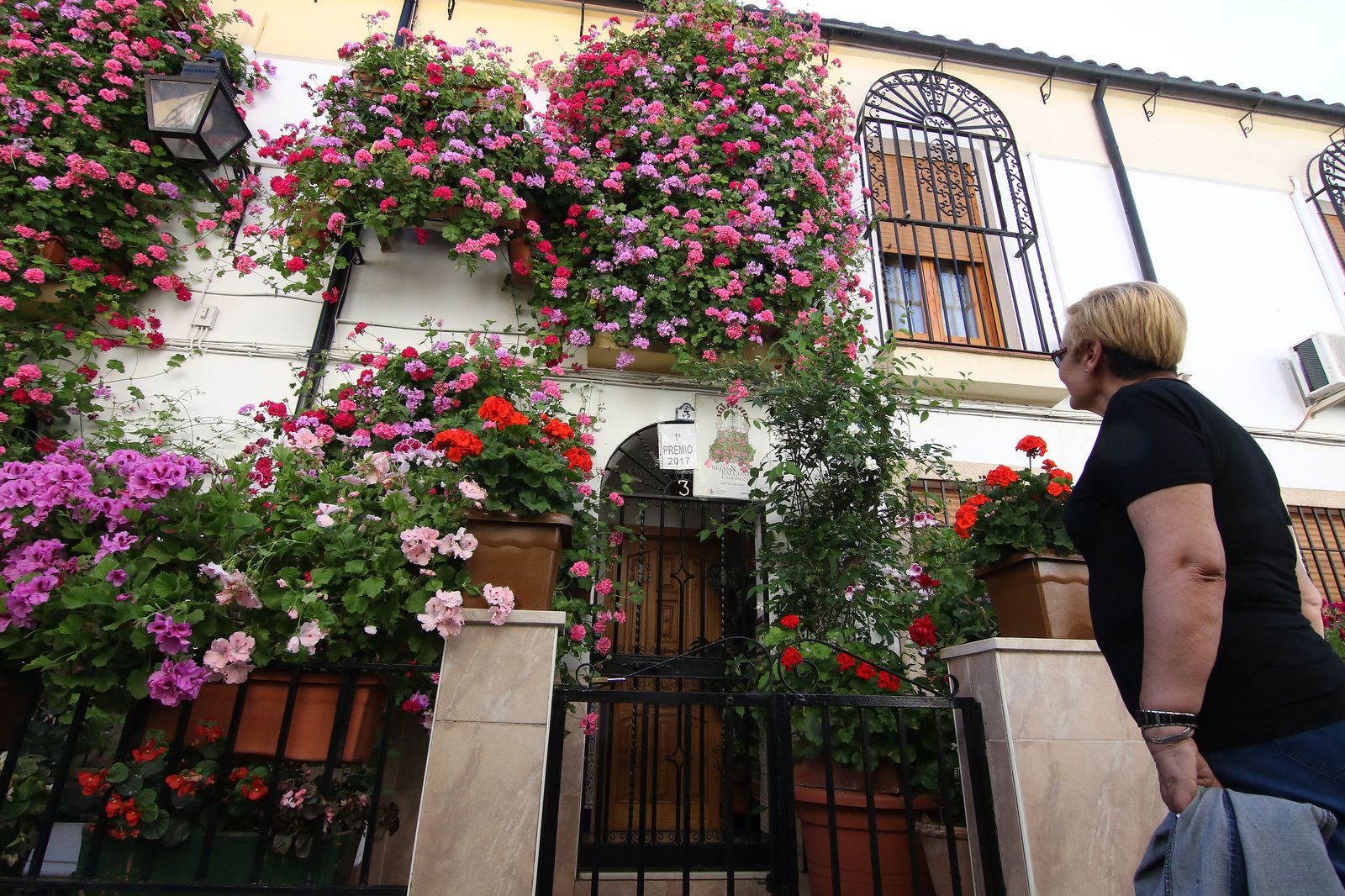 Manuel Soro Tinte, 3