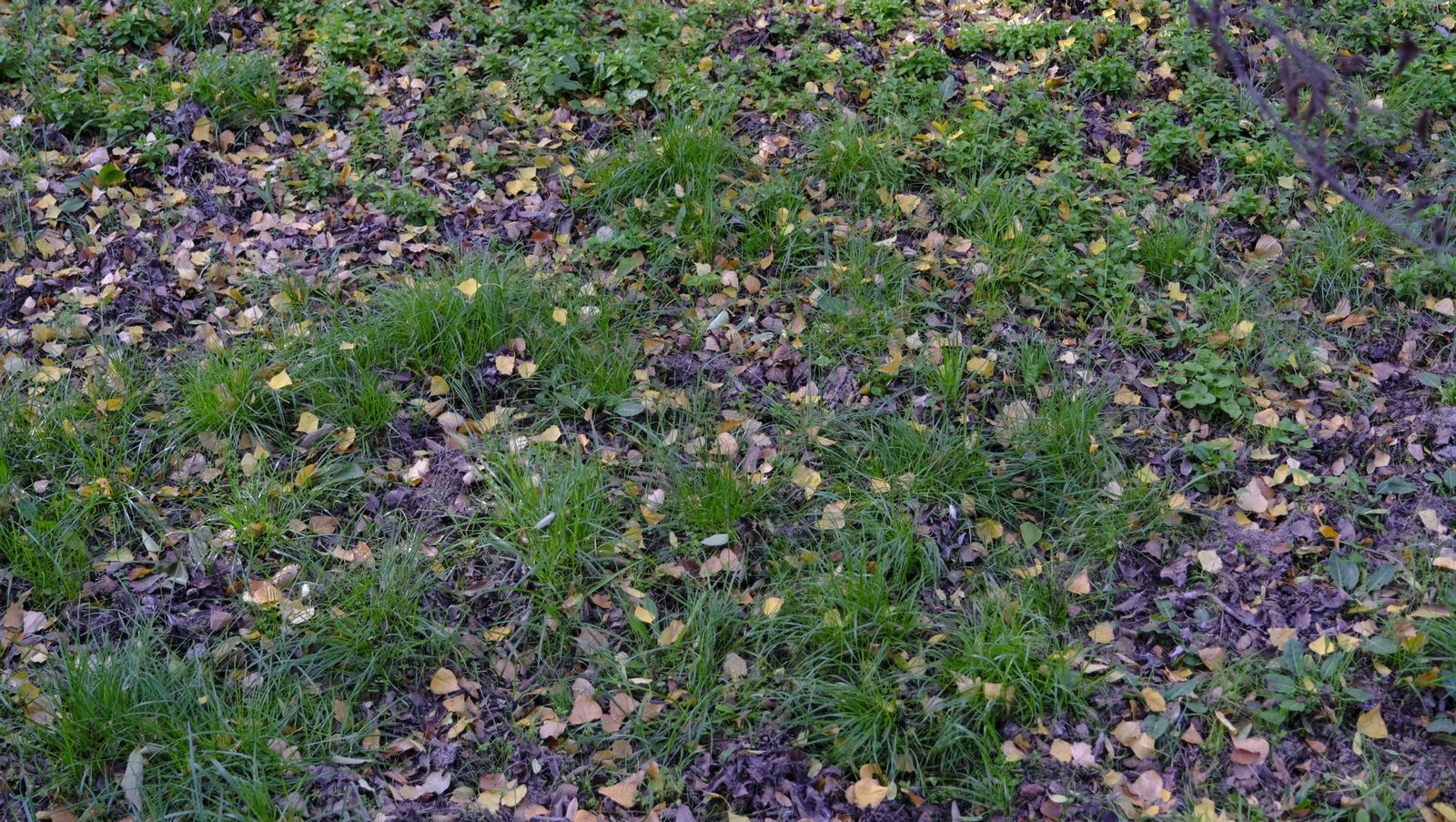 Limpieza y senderismo por la Alpujarra, en imágenes