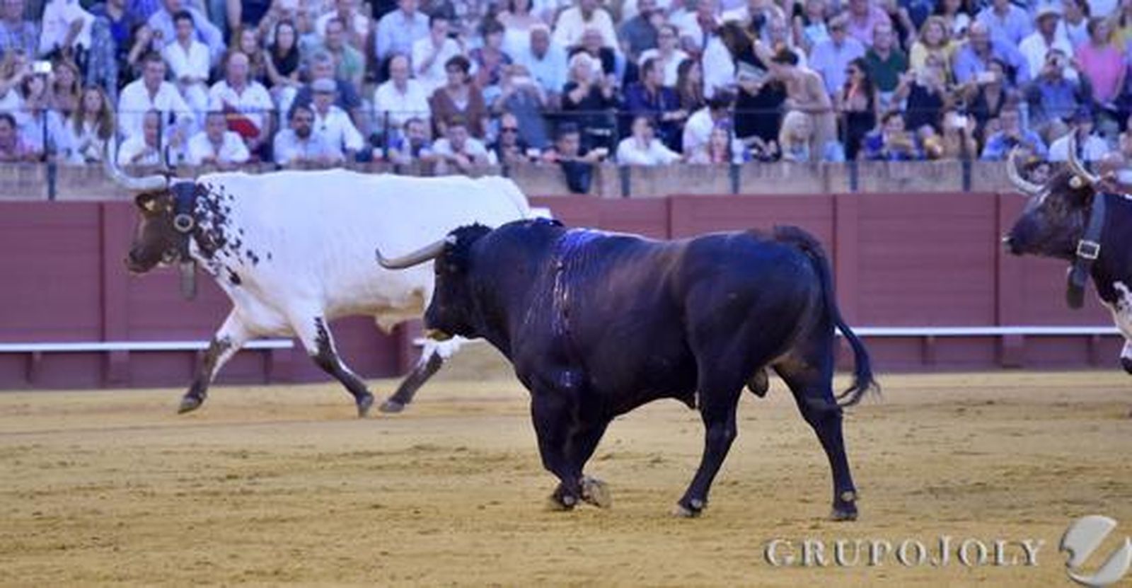 Javier Jiménez en el sexto toro./ Juan Carlos Vázquez