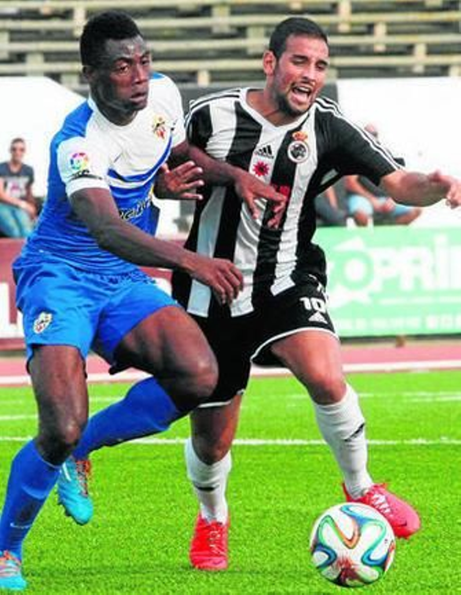 Canario (i), desaparecido ayer, pugna con el visitante Charlie.