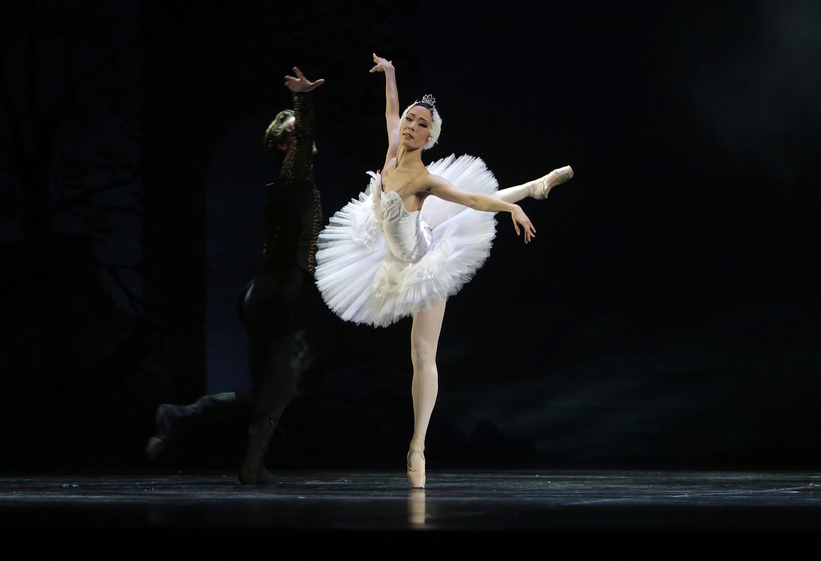 EL LAGO DE LOS CISNES