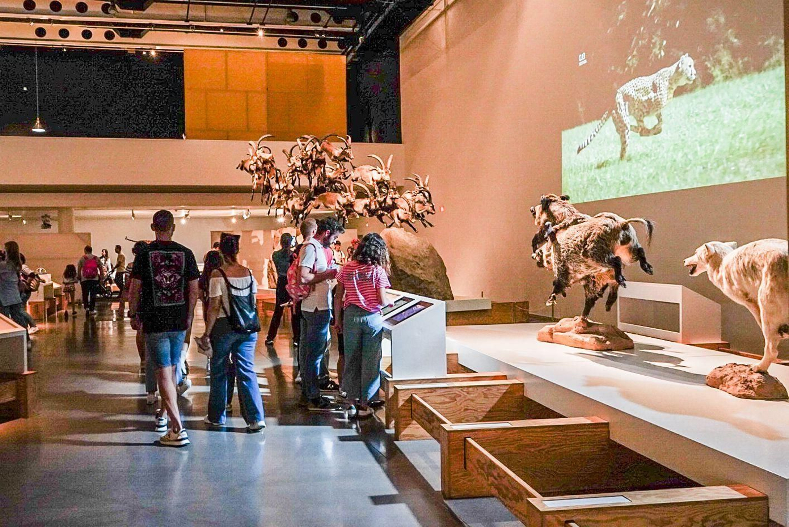La Feria de la Ciencia de Granada, en imágenes