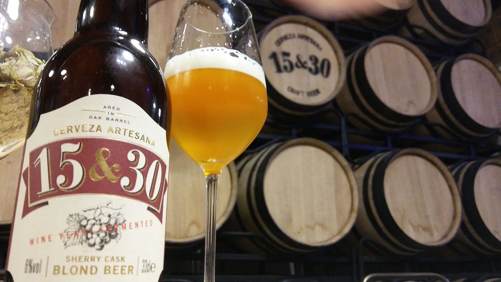 Álvaro Merino y Francisco Galán, dos de los empresarios que participan en el proyecto.