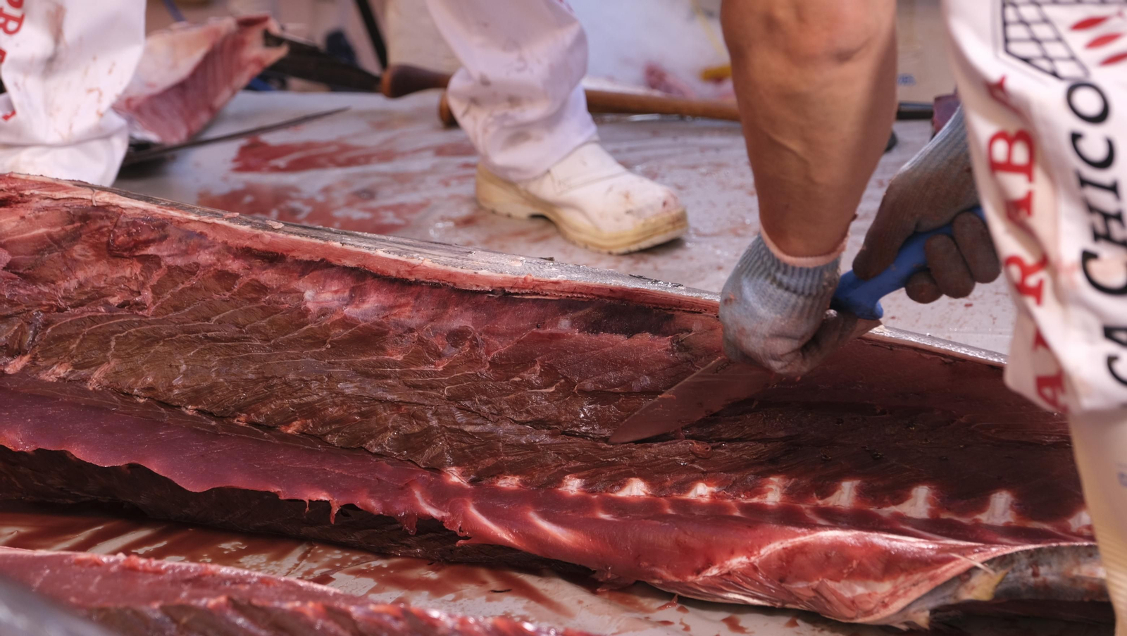 Jornadas del ronqueo del atún rojo de almadraba, en el Espacio Gastrómico Tony García.