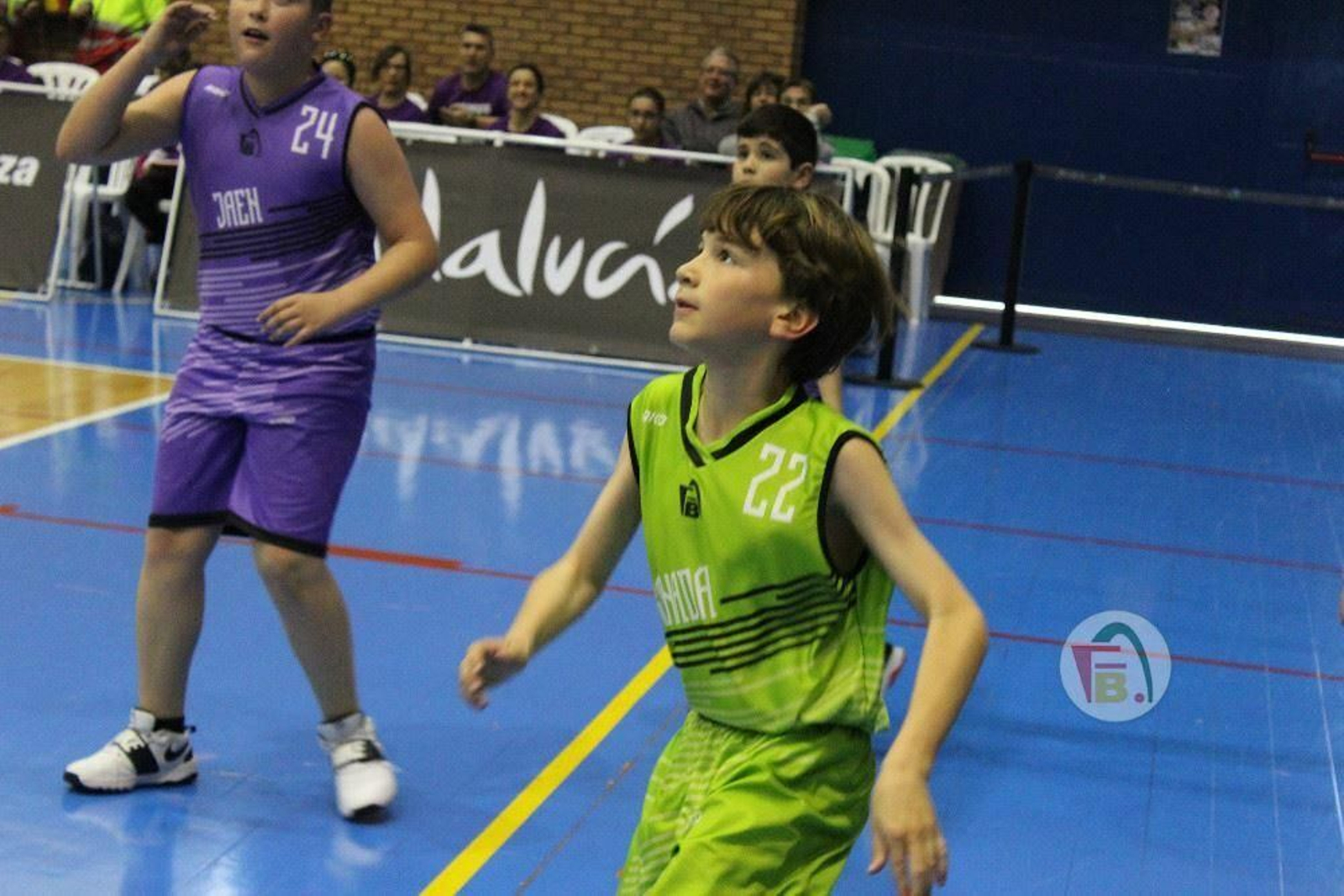 La V Fiesta Preminibásket en Benahavís, en fotos.