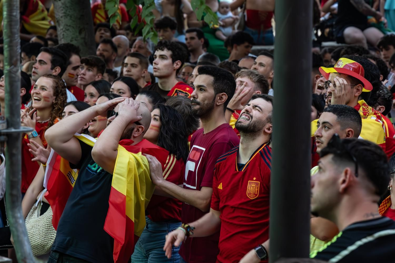 La euforia jiennense por la victoria de España, imágenes