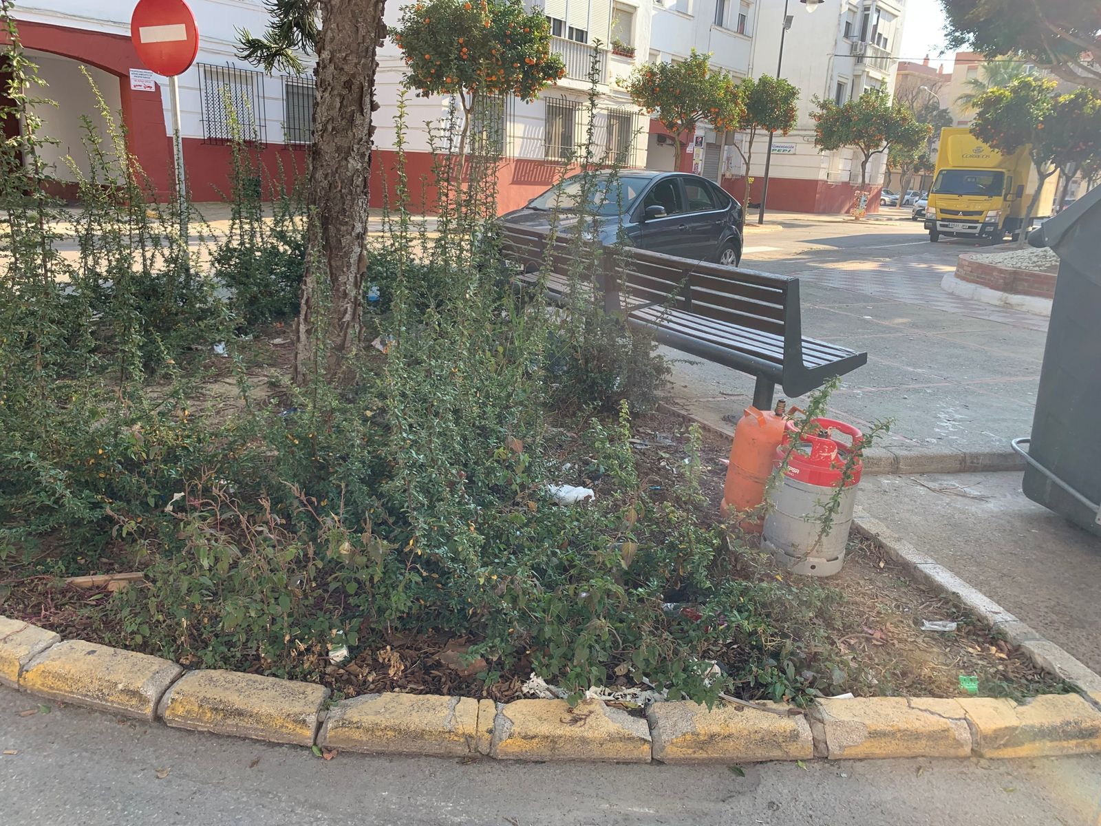 Una imagen de un espacio ajardinado mal cuidado en Bazán.