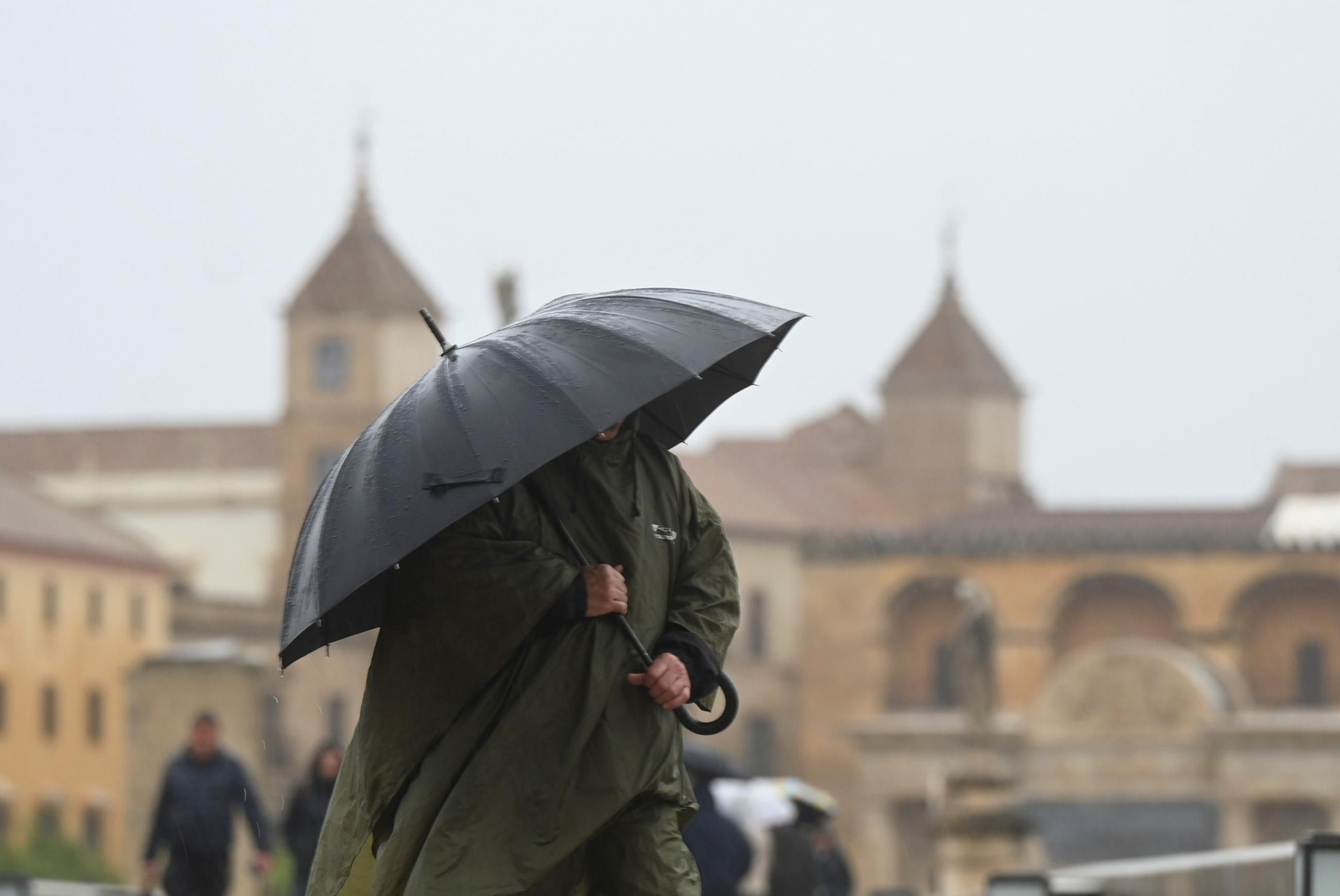 El paso de la borrasca Claudia por Córdoba en imágenes