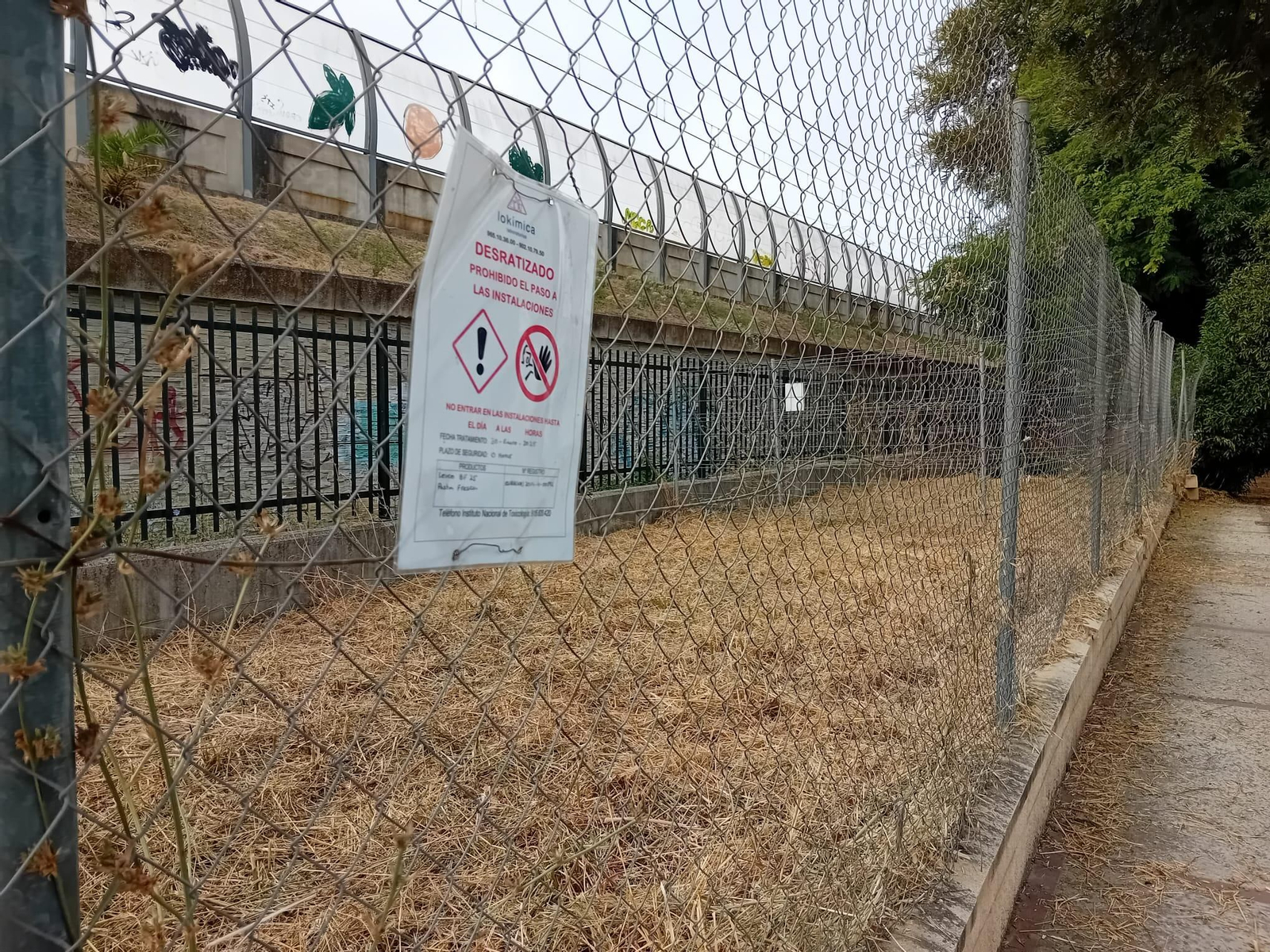 Estado de la zona tras la intervención de Medio Ambiente. Estado de la zona tras la intervención de Medio Ambiente.