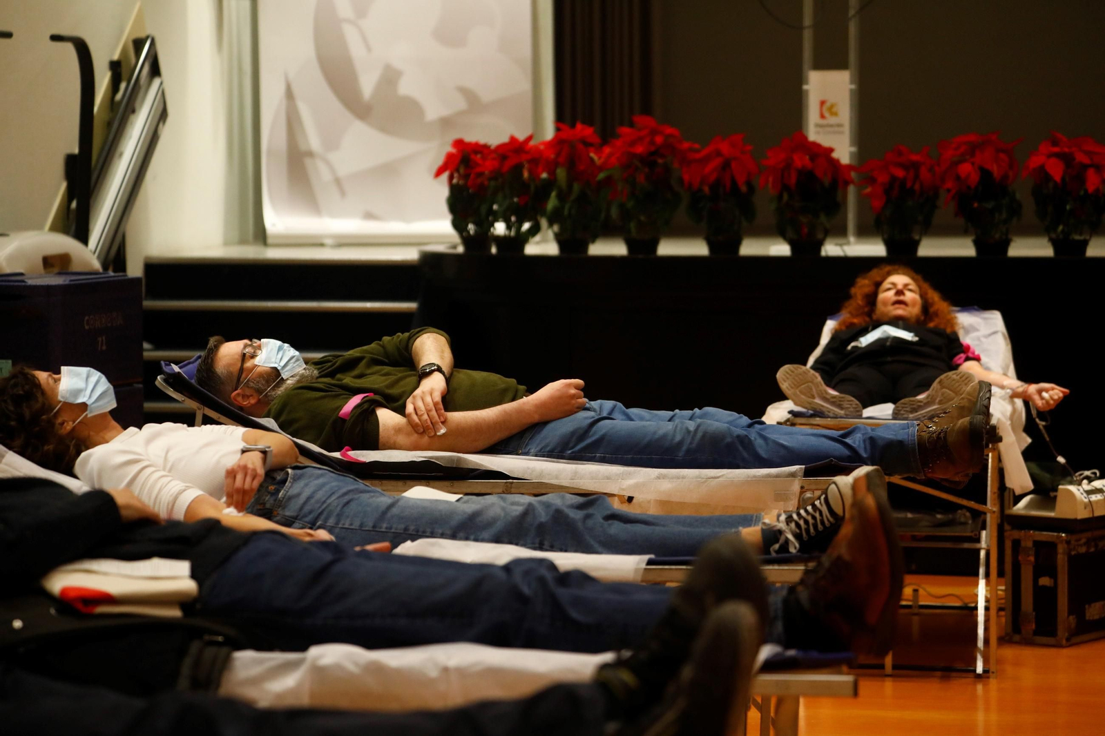 El maratón de la donación de sangre para salvar vidas por Navidad en Córdoba, en imágenes