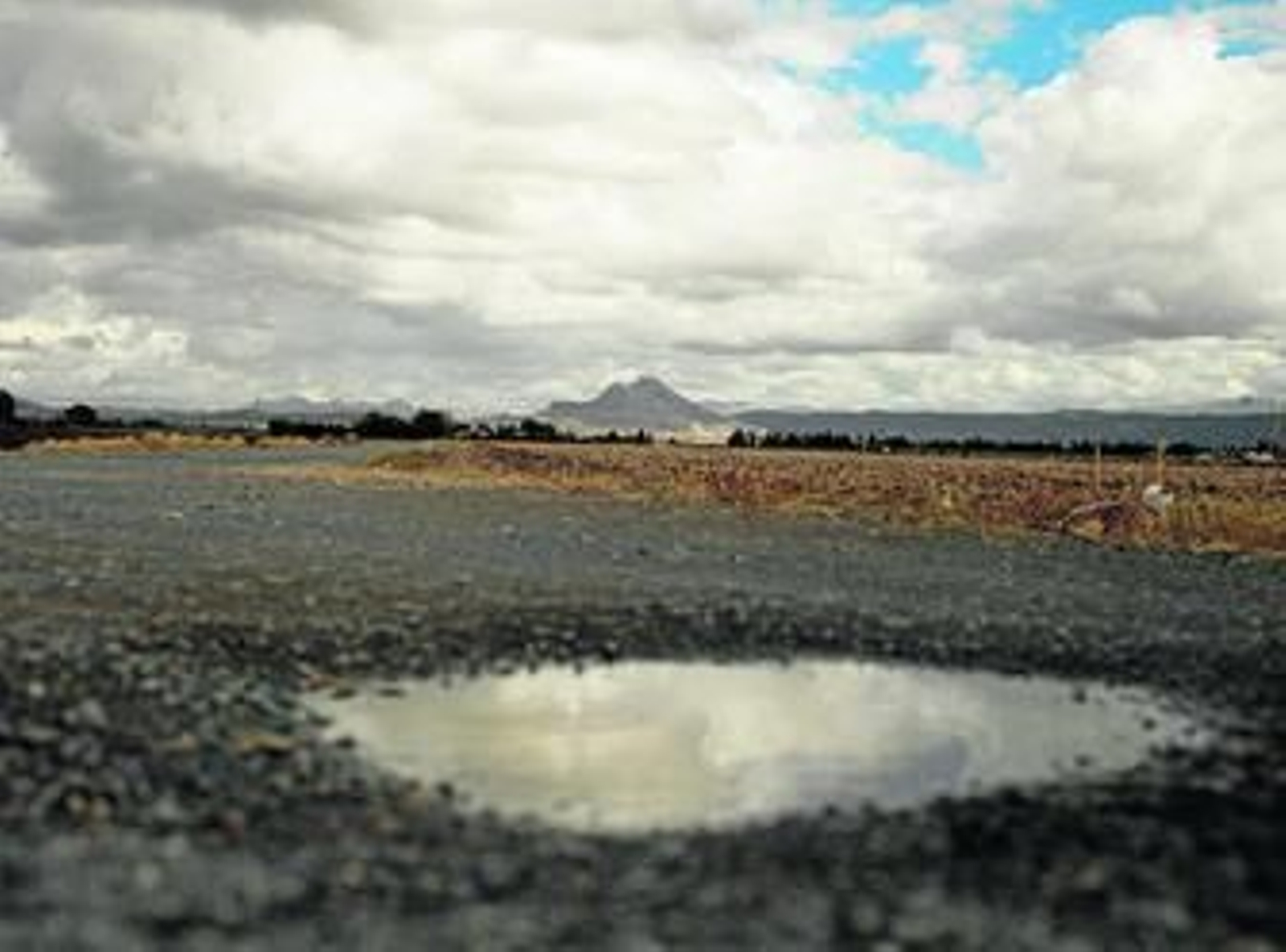 El campo antequerano tras la lluvia, con la Peña de los Enamorados al fondo.