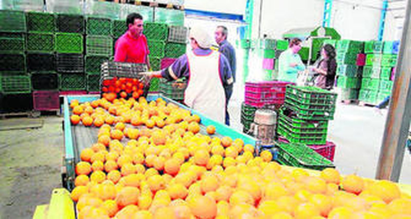 Cítricos del Andarax es un referente en la transformación del producto, con la elaboración de zumos.