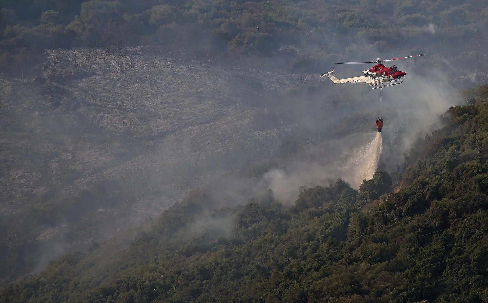 El incendio forestal  de Algeciras, en imágenes
