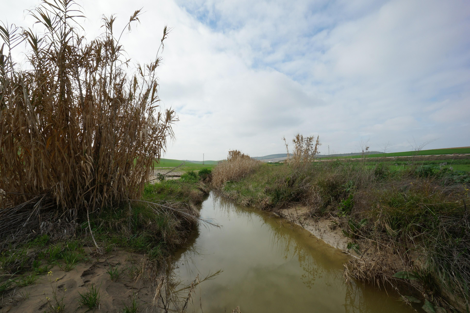 Un recorrido por la Córdoba-3203, la carretera de los terremotos