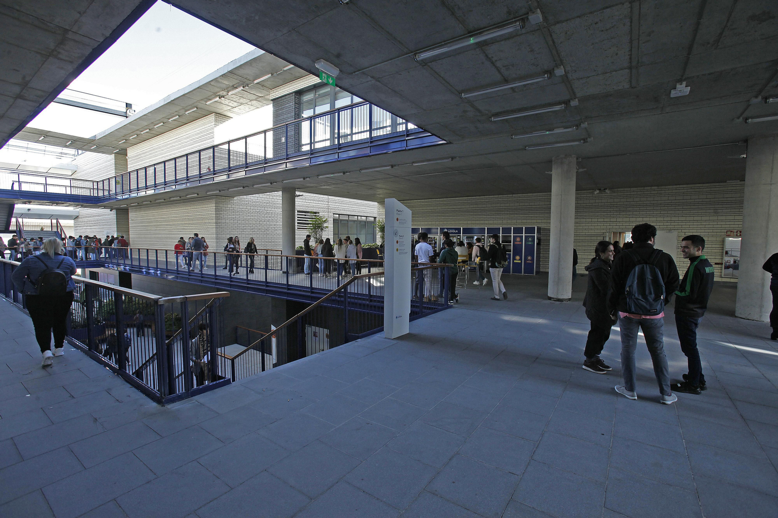 Universidad Loyola Universidad Loyola