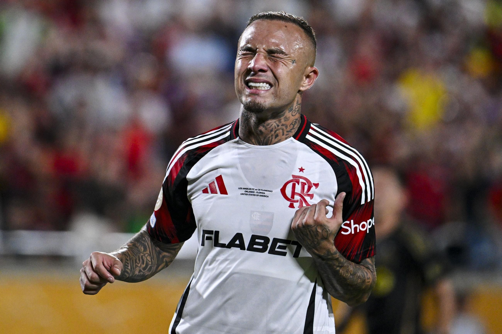 Los Ángeles FC - Flamengo (21).jpg Los Ángeles FC - Flamengo (21).jpg