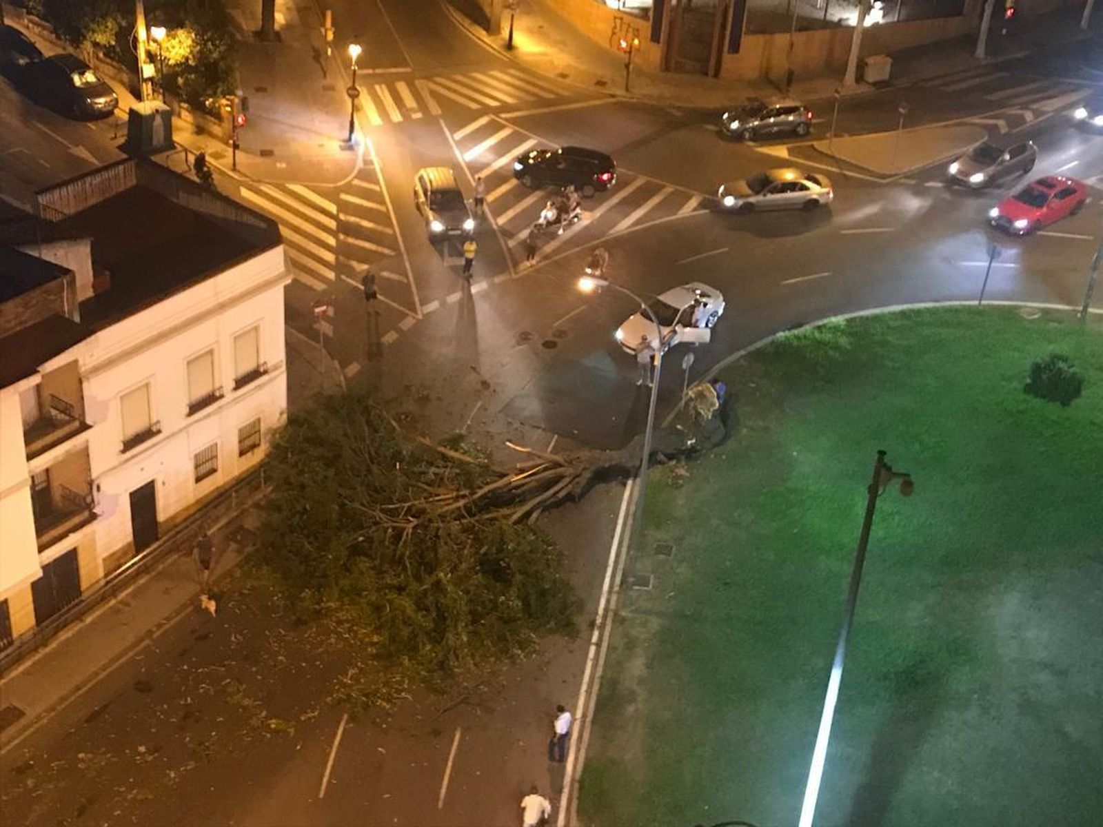 Un árbol se desploma en la rotonda de Juan Ramón Jiménez.