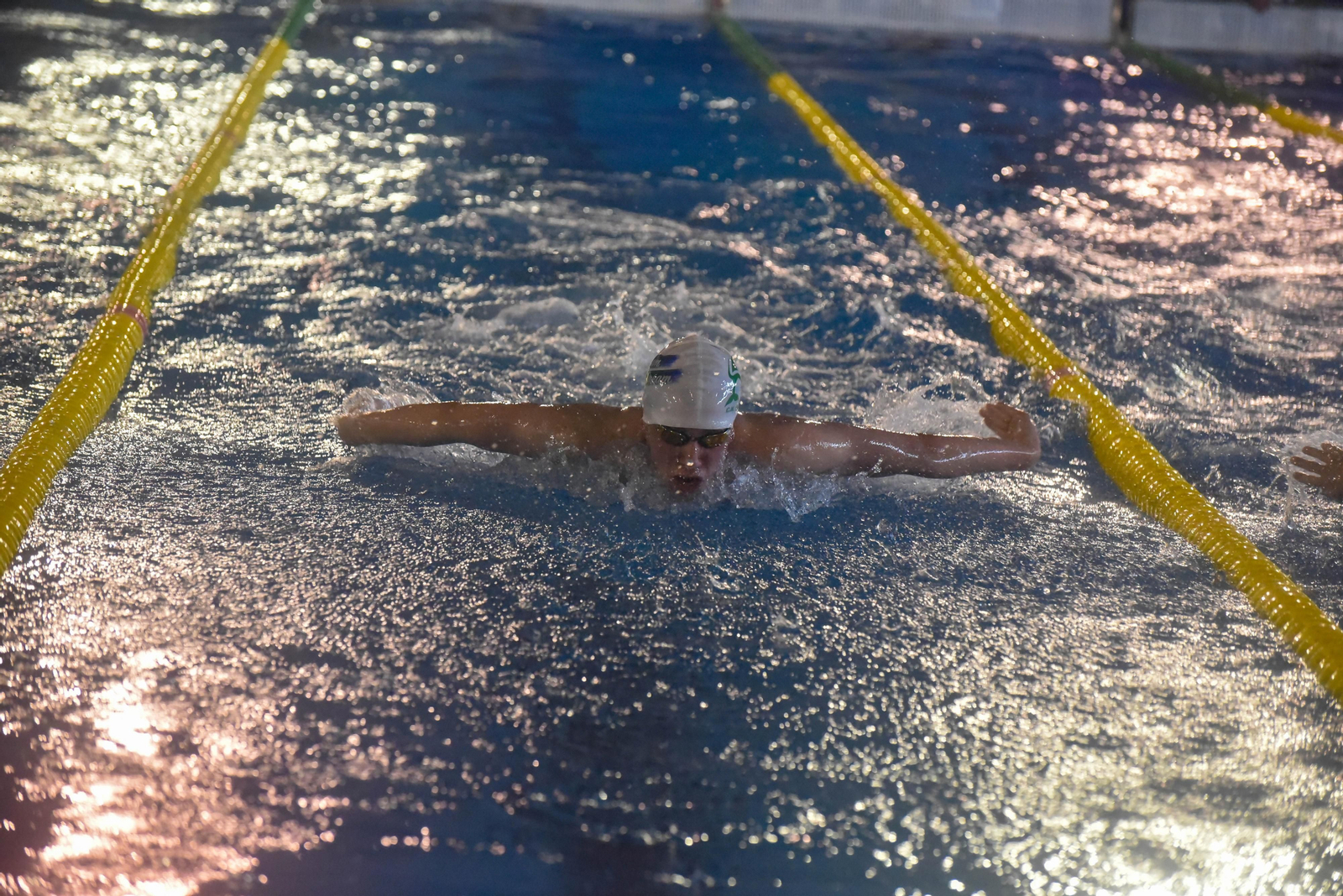 Las fotos del IV Trofeo de natacion Campo de Gibraltar en Los Barrios