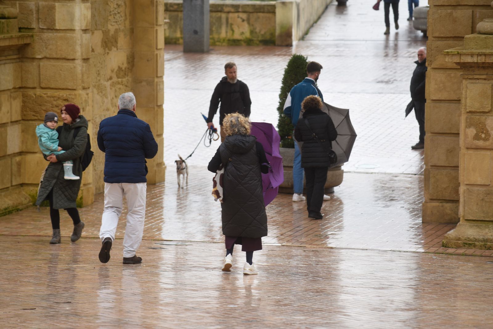 Las fuertes rachas de viento y la lluvia dejan las calles de Córdoba vacías