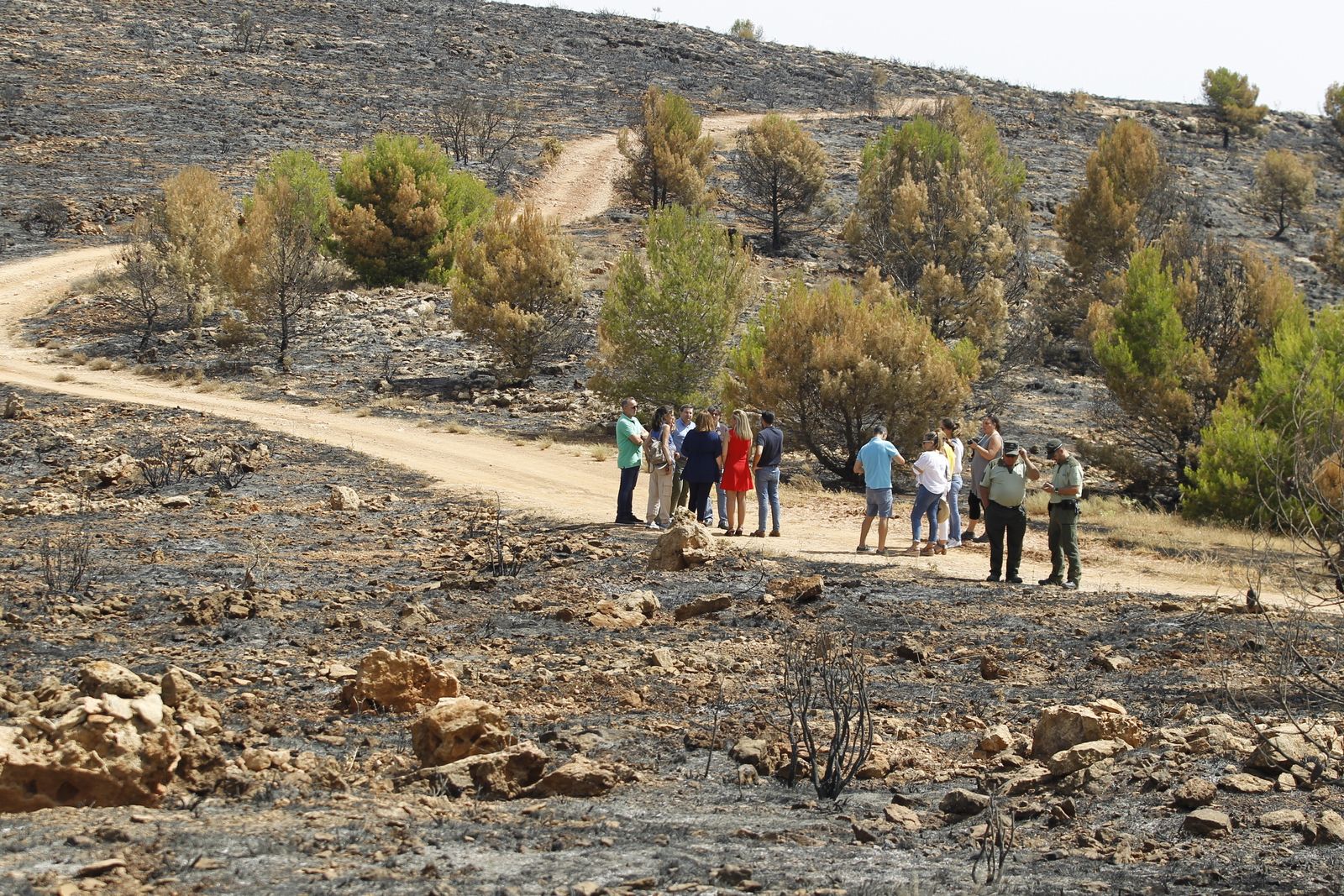 Fotogalería incendio extinguido Sierra de Gádor