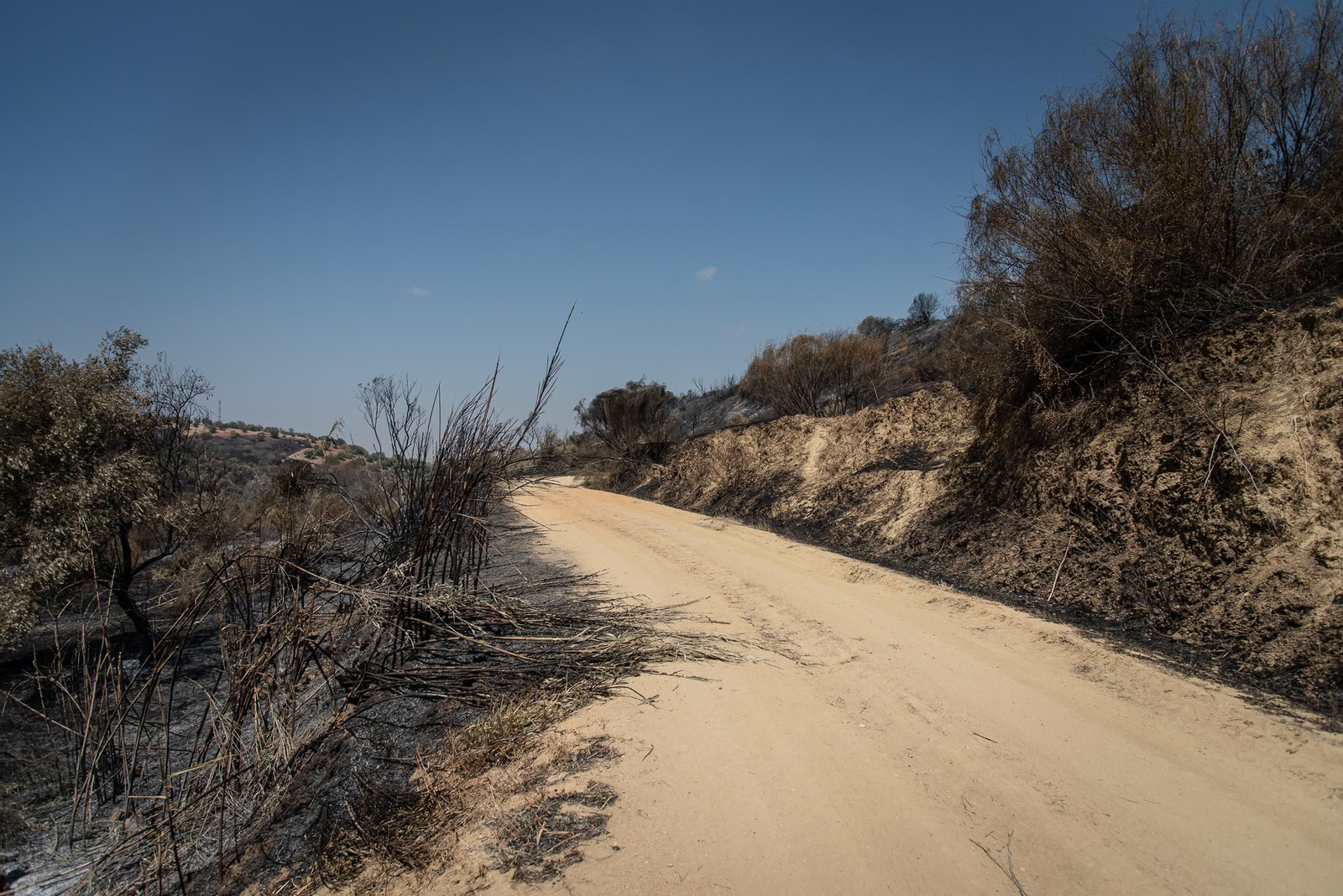 Imágenes de los destrozos causados por el incendio de Lucena del Puerto