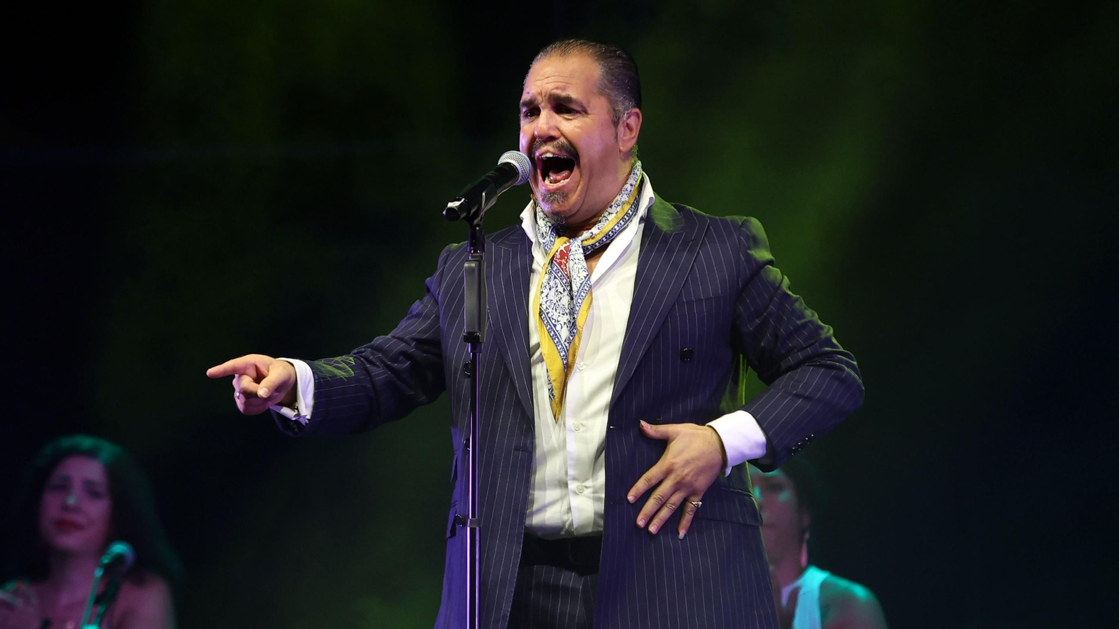 Imágenes de la 58 edición de la Fiesta de la Bulería en Jerez