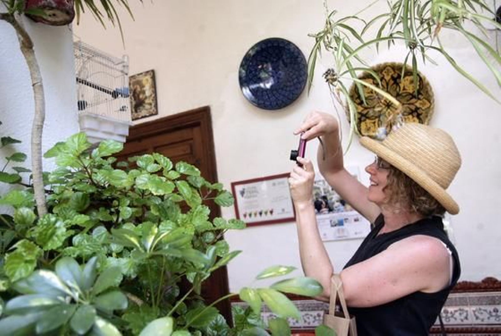 Foto: José Martínez