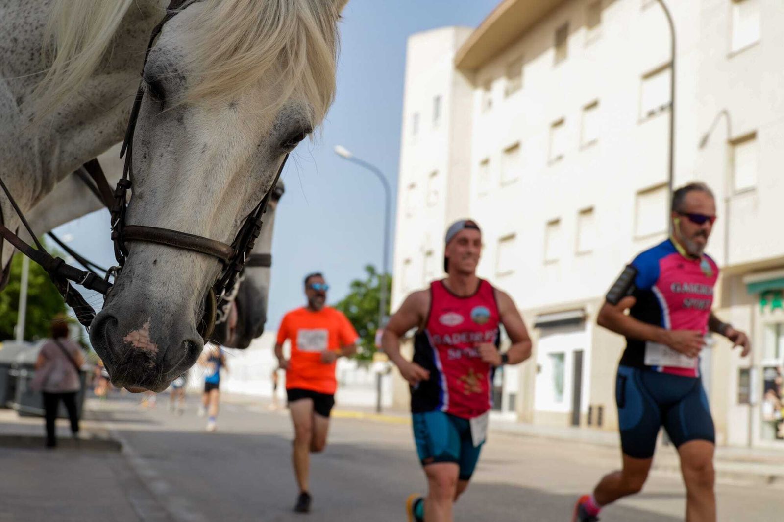 Las imágenes de la carrera Ruta 091 Kilómetros Solidarios celebrada en San Fernando