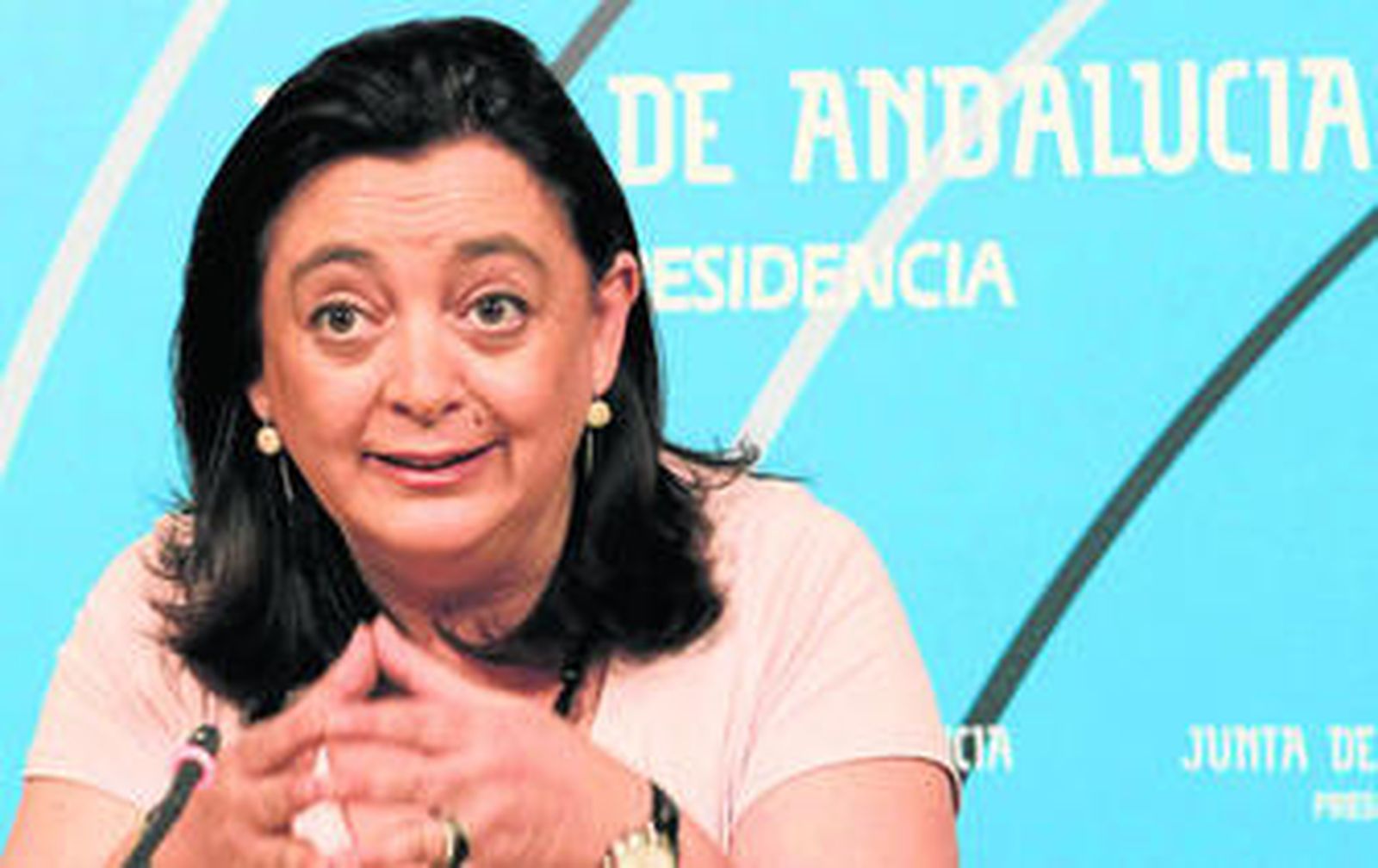 Mar Moreno, ayer durante su comparecencia en el Palacio de San Telmo.