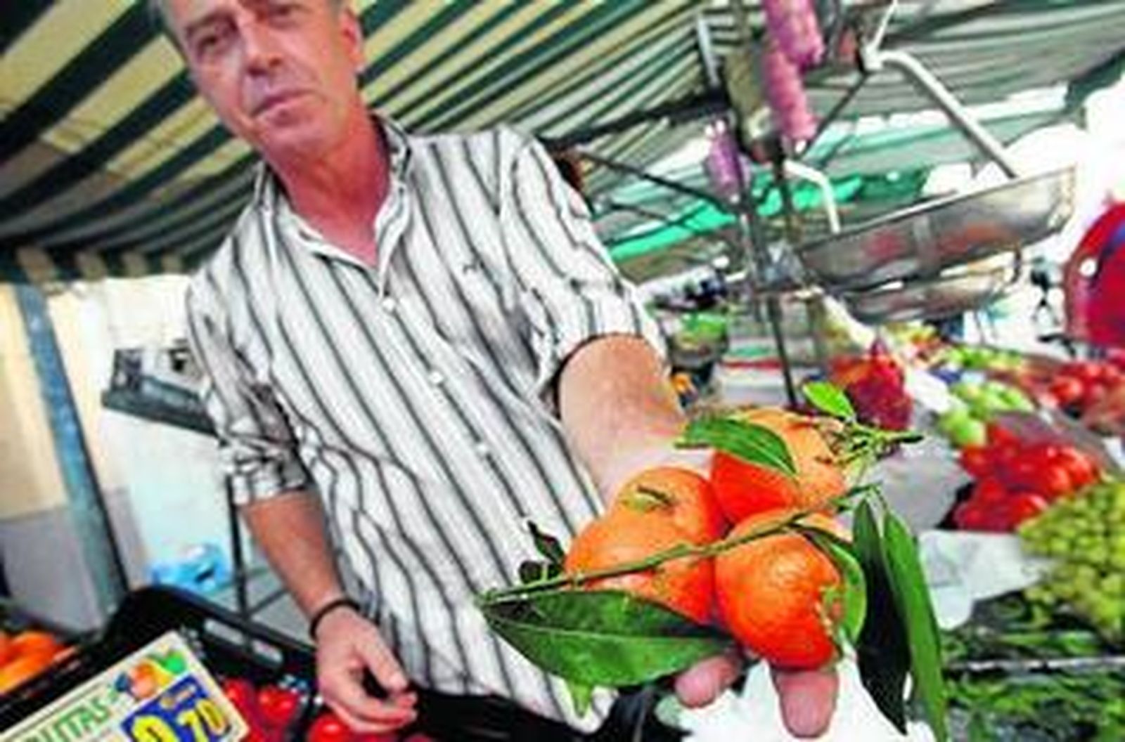 Los productores denuncian que el mercado de naranjas está saturado.