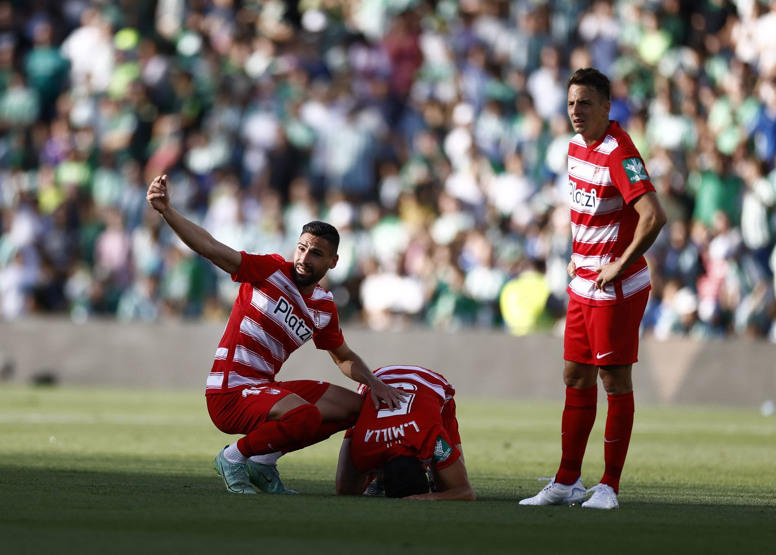 Las imágenes del Betis-Granada