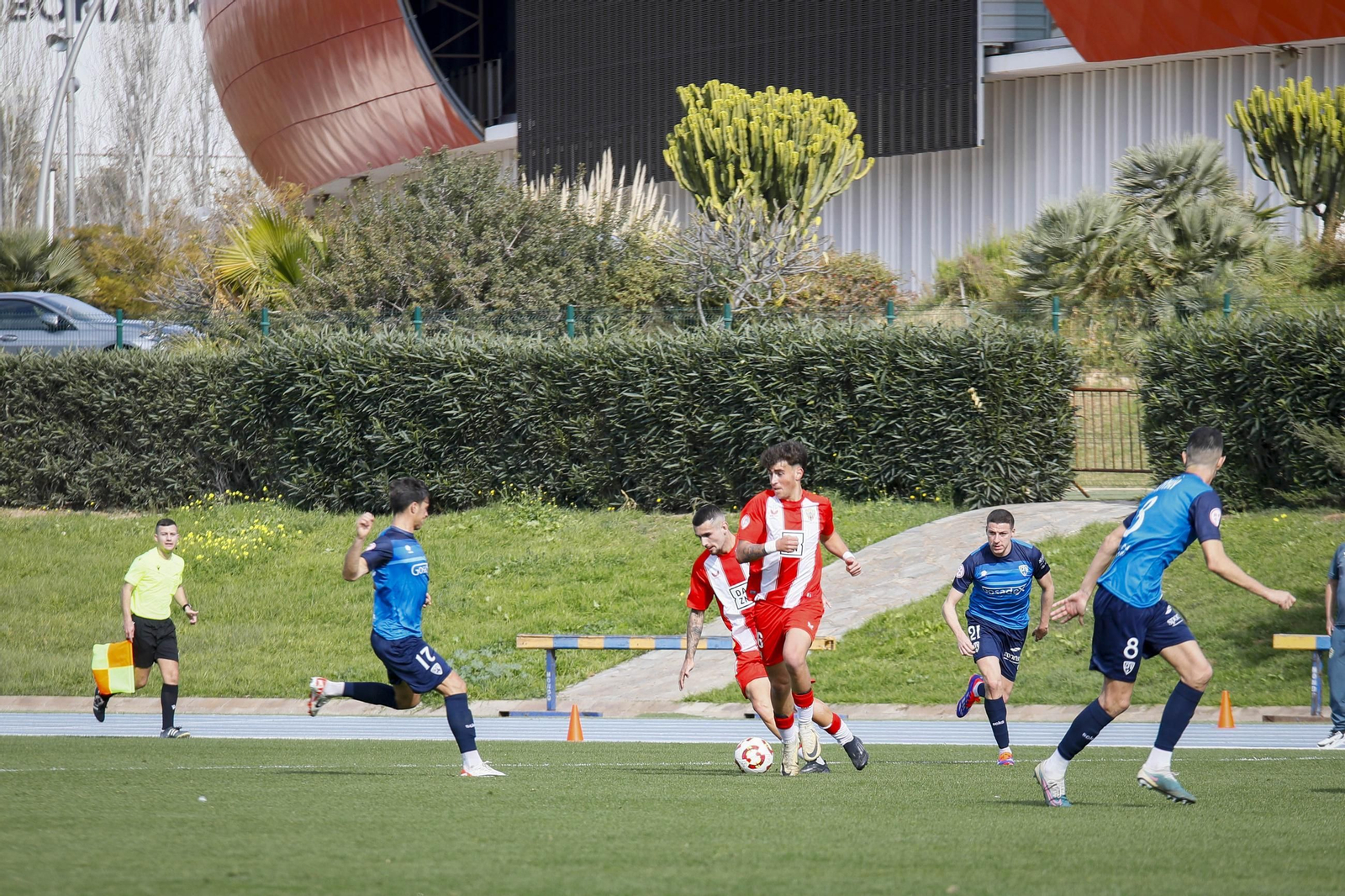 Imágenes del partido entre Almeria B contra Villanovense de segunda RFEF