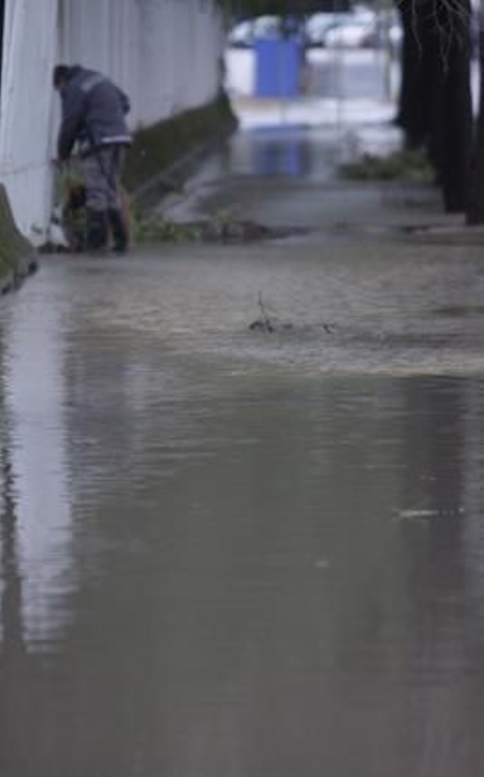 Las lluvias inundaron parte de la Isla de la Cartuja.

Foto: Victoria Hidalgo/Jaime Martínez