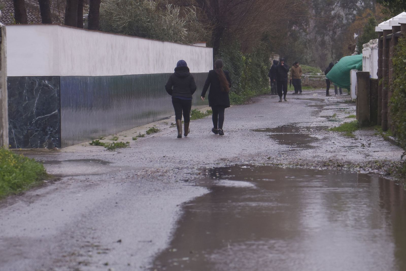 Los vecinos de Guadalvalle desalojan sus parcelas por la crecida del Guadalquivir, en imágenes