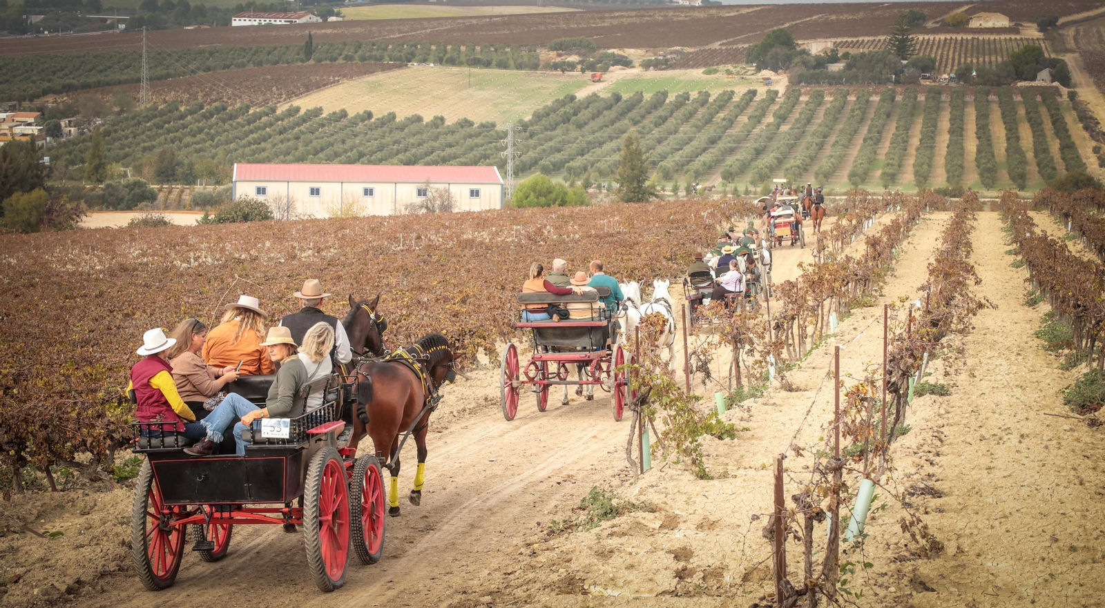 Búscate en la III Ruta Viñas de Jerez de Enganches