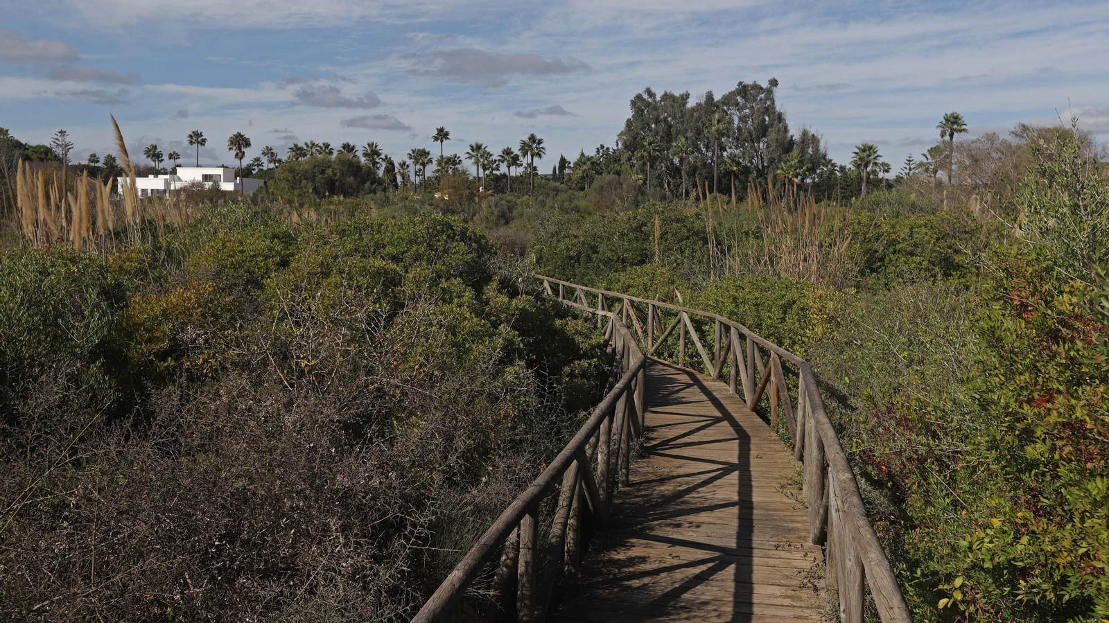 Fotos del estuario del río Guadiaro en San Roque