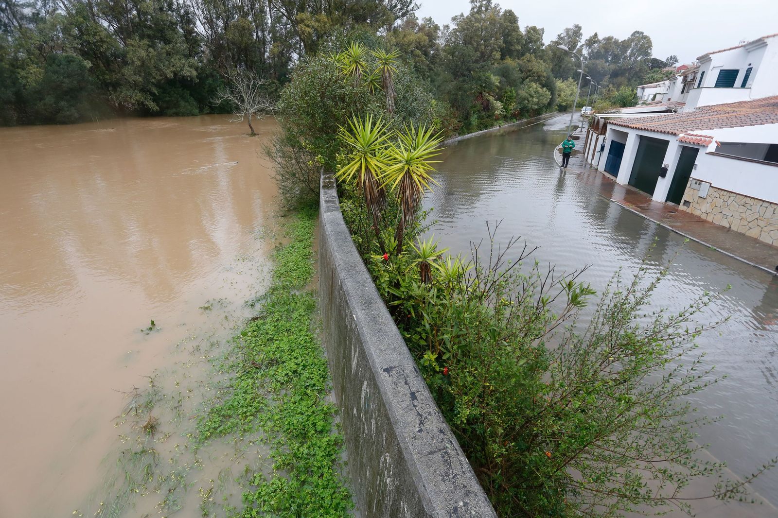 Fotos: Así amaneció el Campo de Gibraltar tras el paso de la borrasca Leonardo