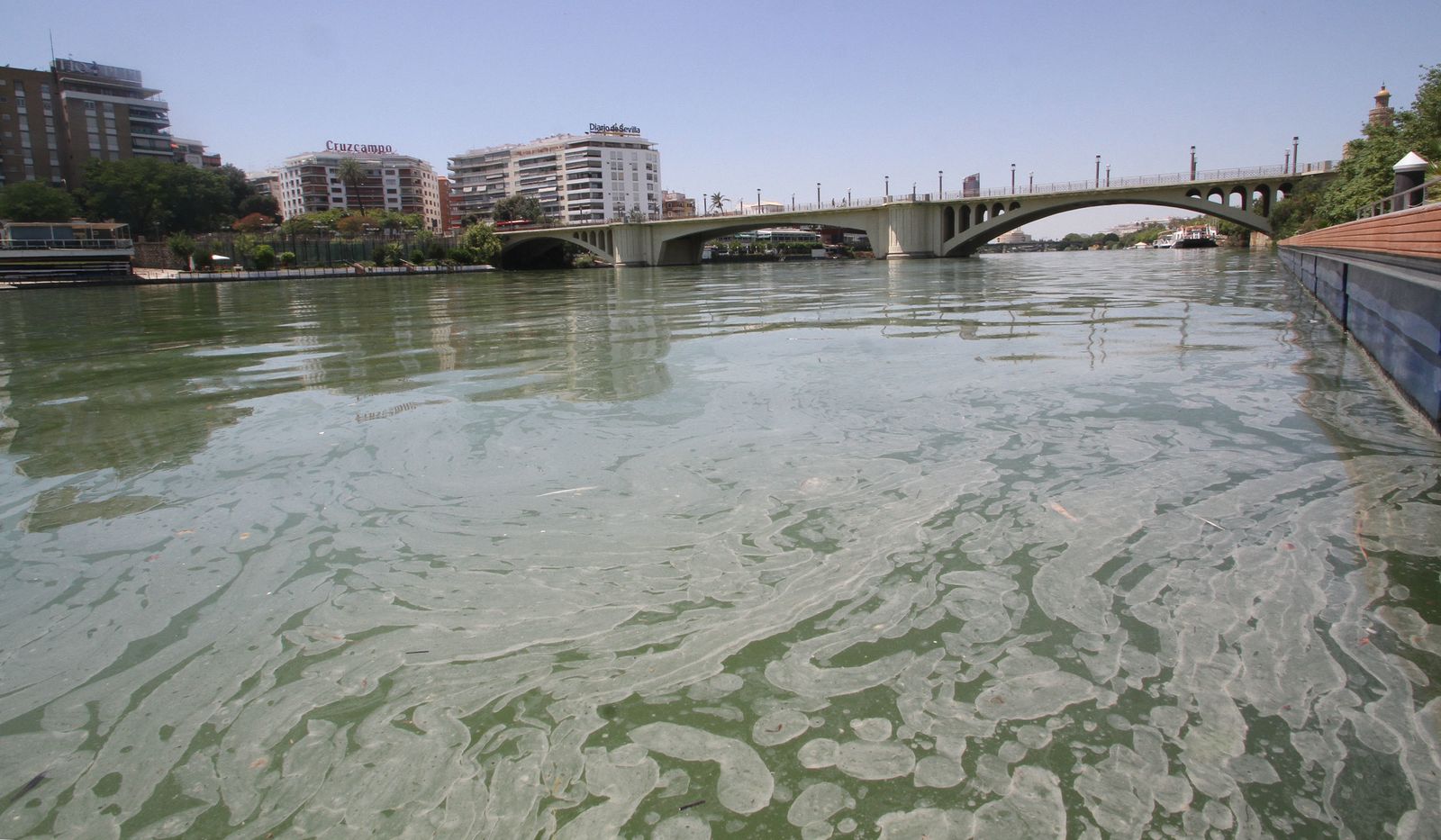 Mancha de aceite en el Guadalquivir