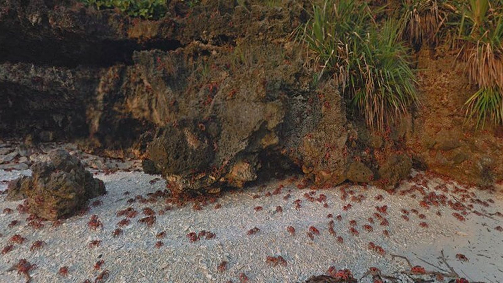 15 imágenes favoritas de Street View